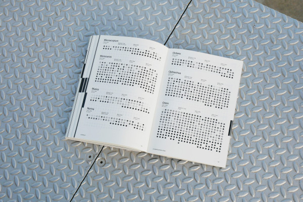 Spread from Looking Up