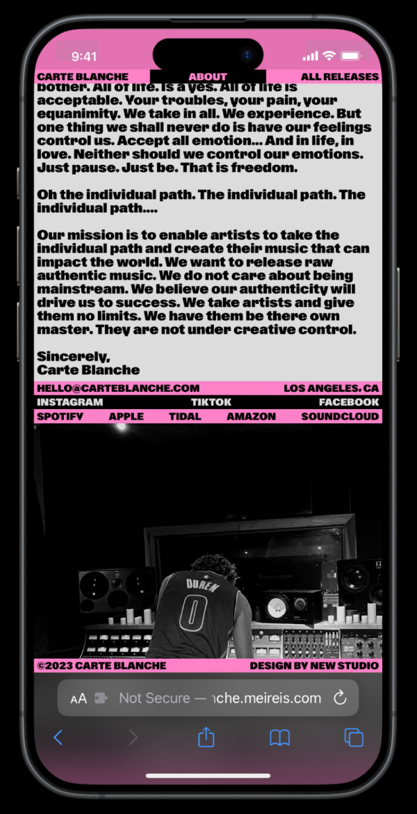 Website for Carte Blanche